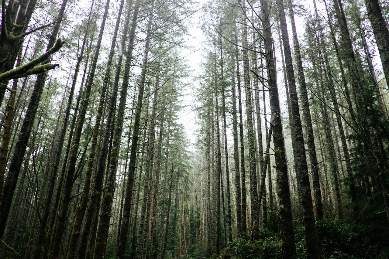 ARCHIVE NO. I: EARTH