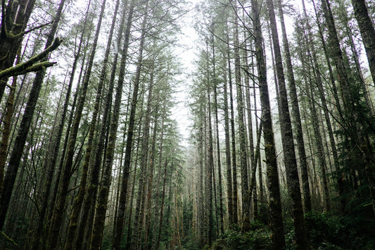 ARCHIVE NO. I: EARTH