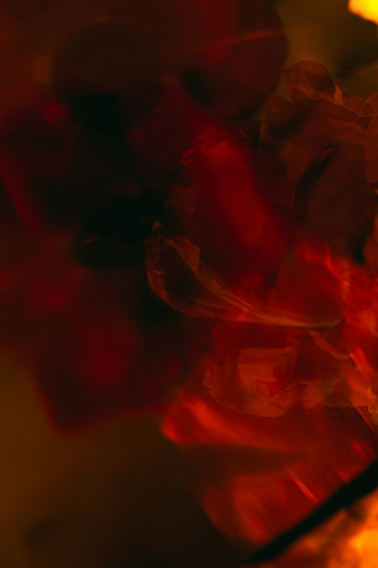 ARCHIVE NO. II: LOVE