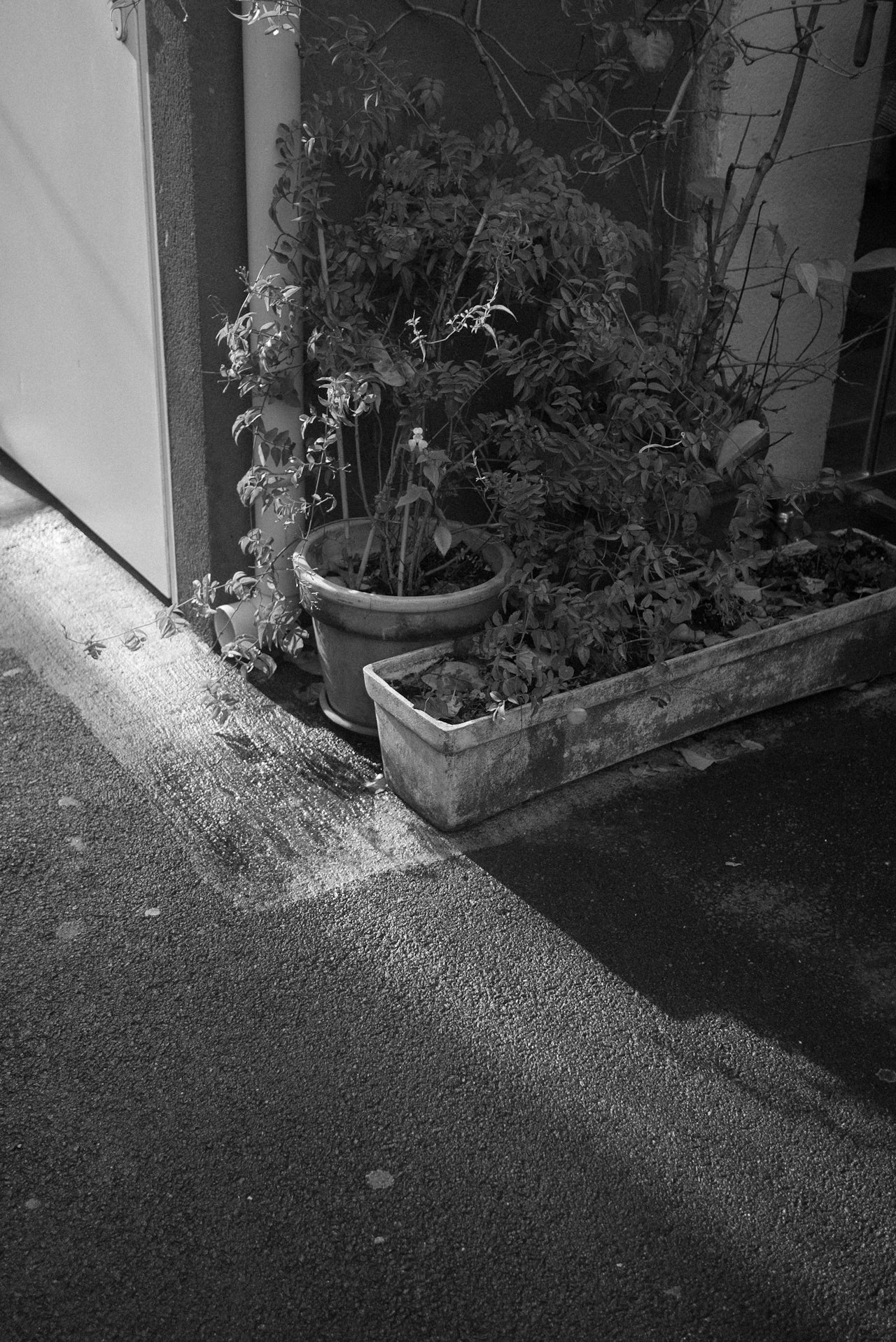 ARCHIVE NO. VIII: AIR