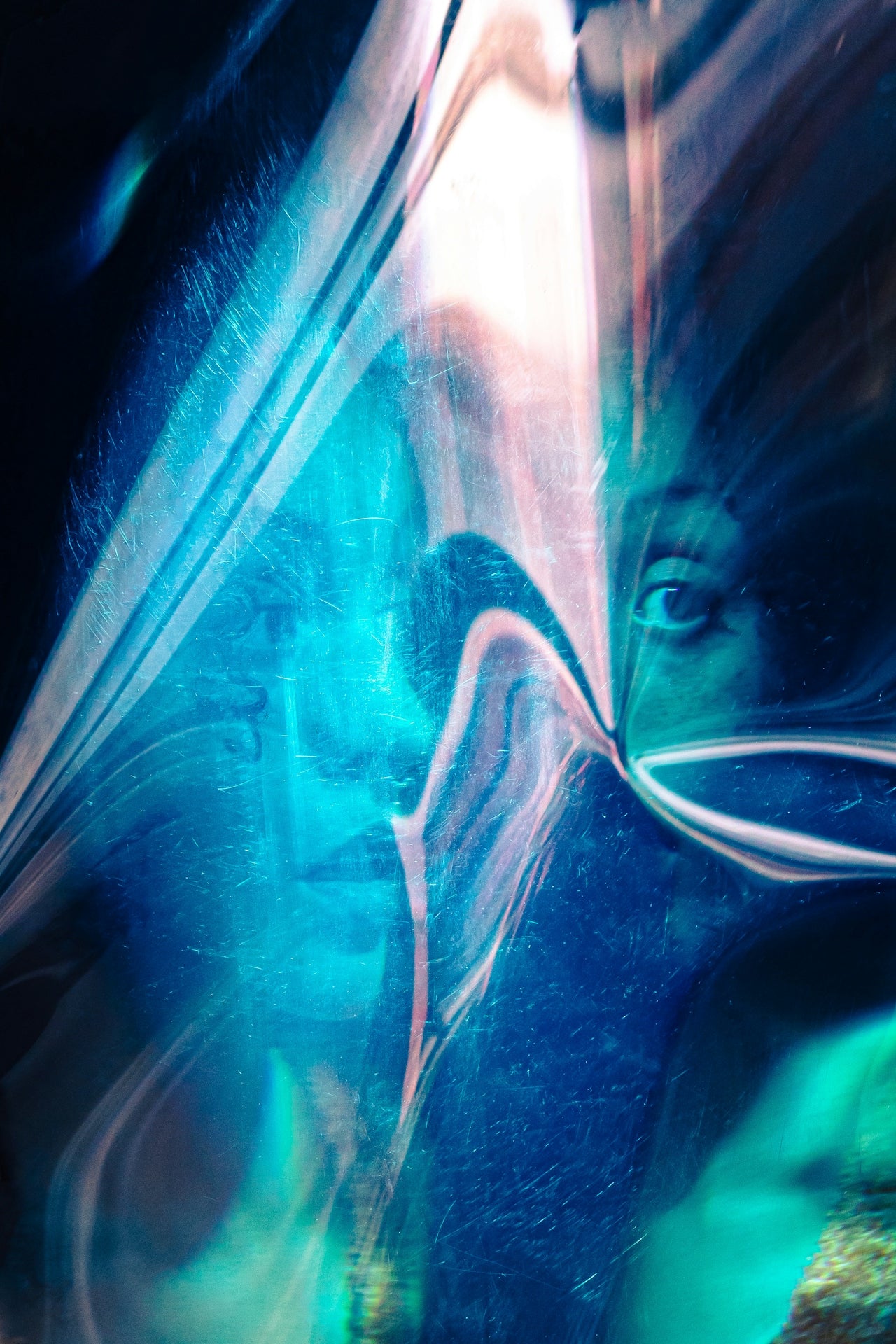 ARCHIVE NO. VII: DAY