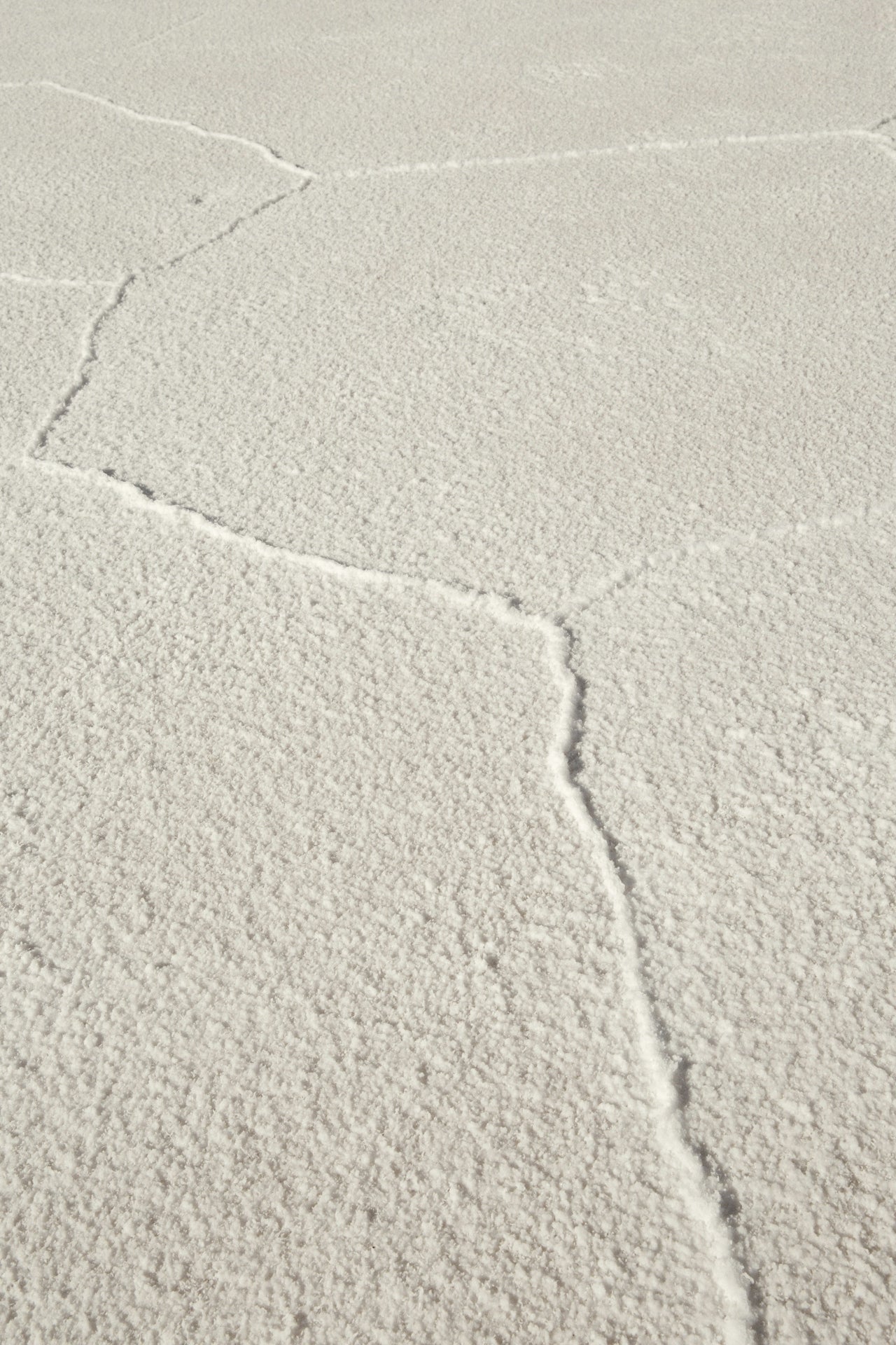 ARCHIVE NO. VII: DAY