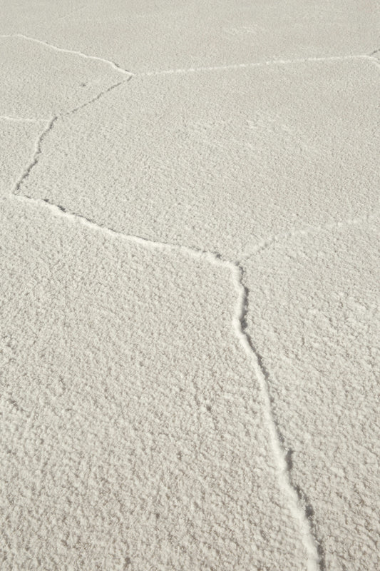 ARCHIVE NO. VII: DAY