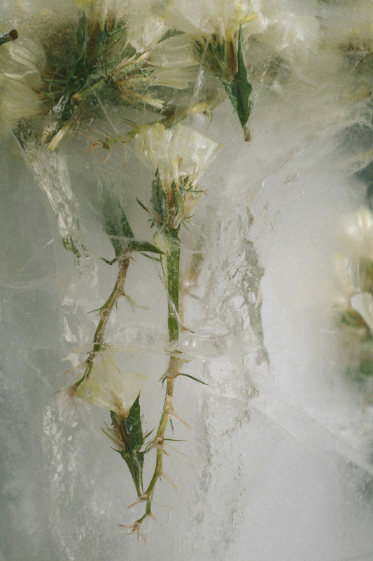 ARCHIVE NO. IX: ETERNITY