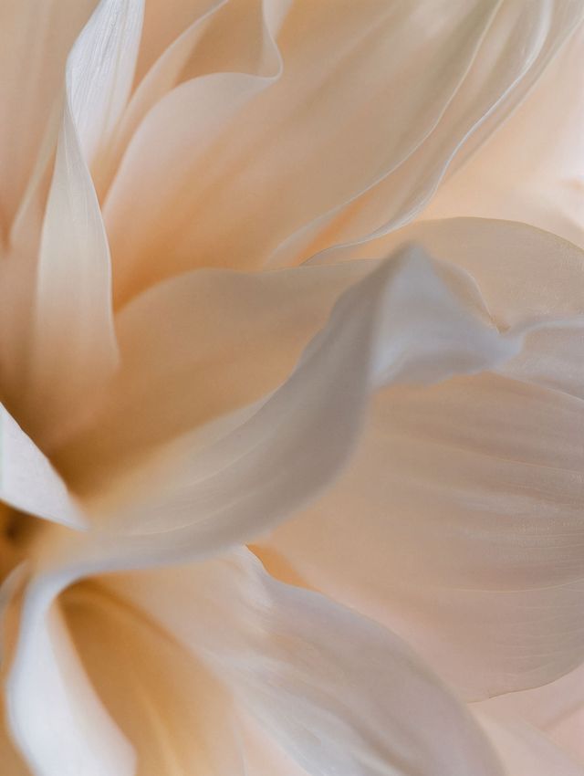 ARCHIVE NO. XI: LIGHT